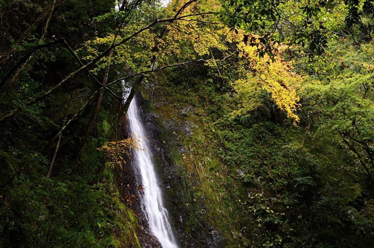 Vila Yadori Onsen Iyashinoyu Hashimoto  Exteriér fotografie