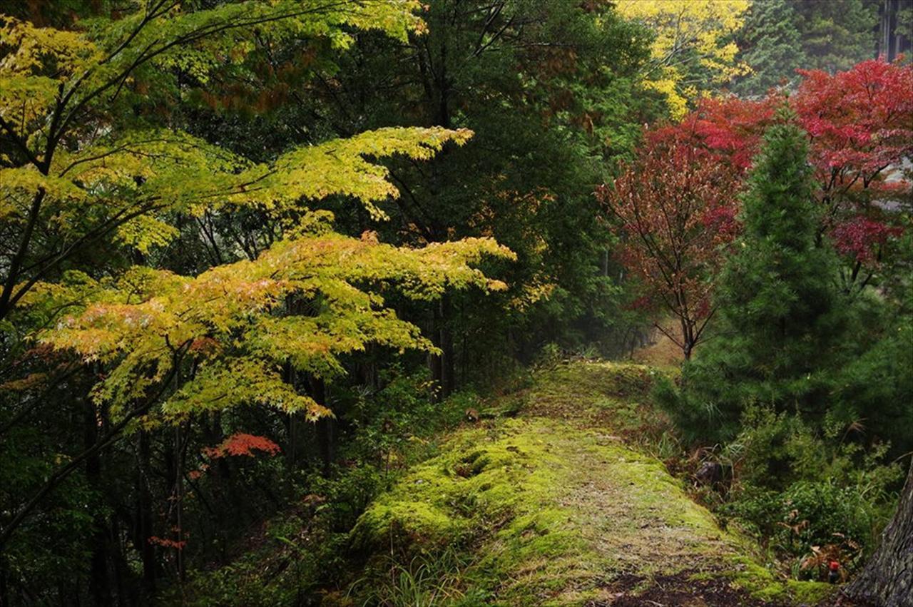 Vila Yadori Onsen Iyashinoyu Hashimoto  Exteriér fotografie