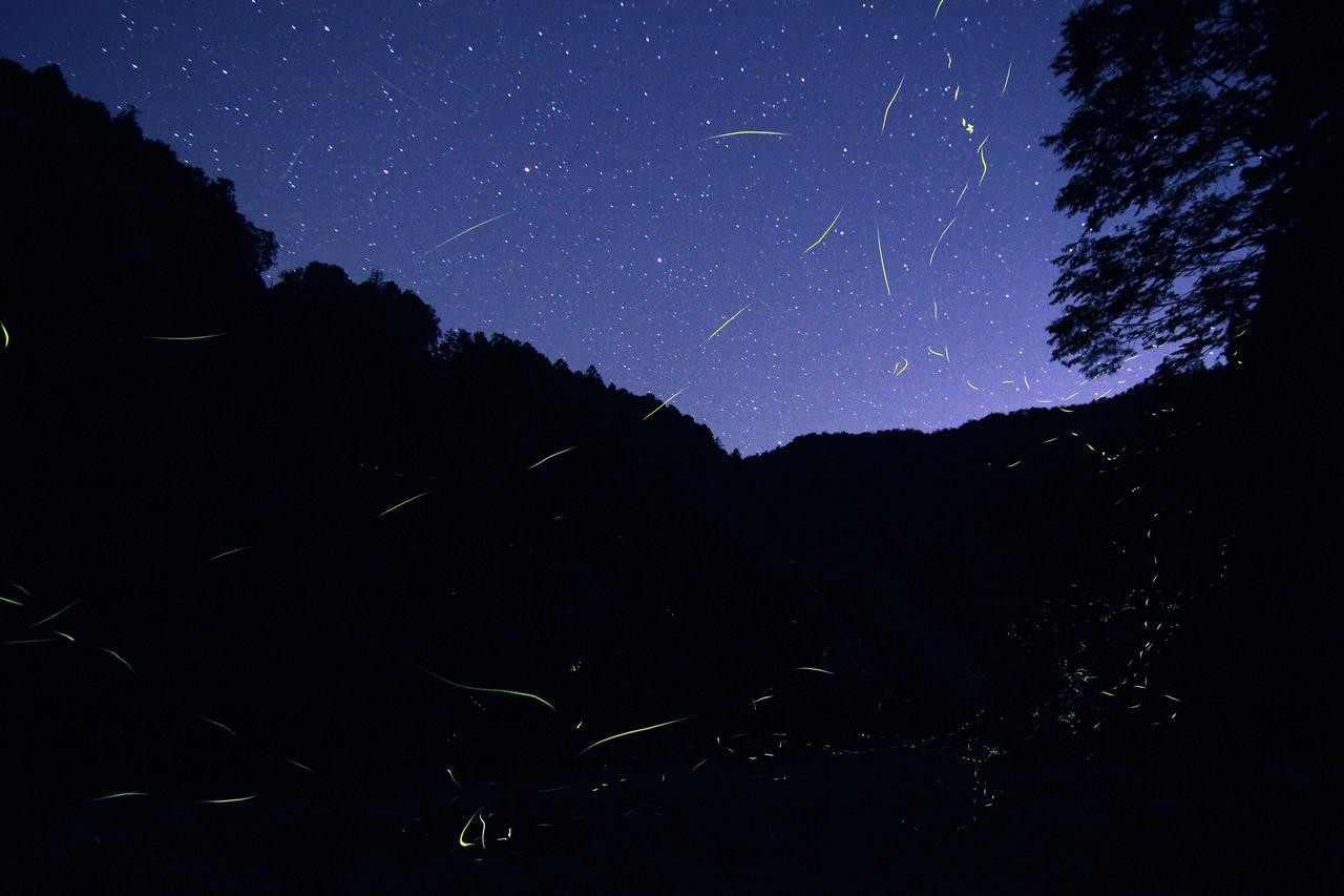 Vila Yadori Onsen Iyashinoyu Hashimoto  Exteriér fotografie