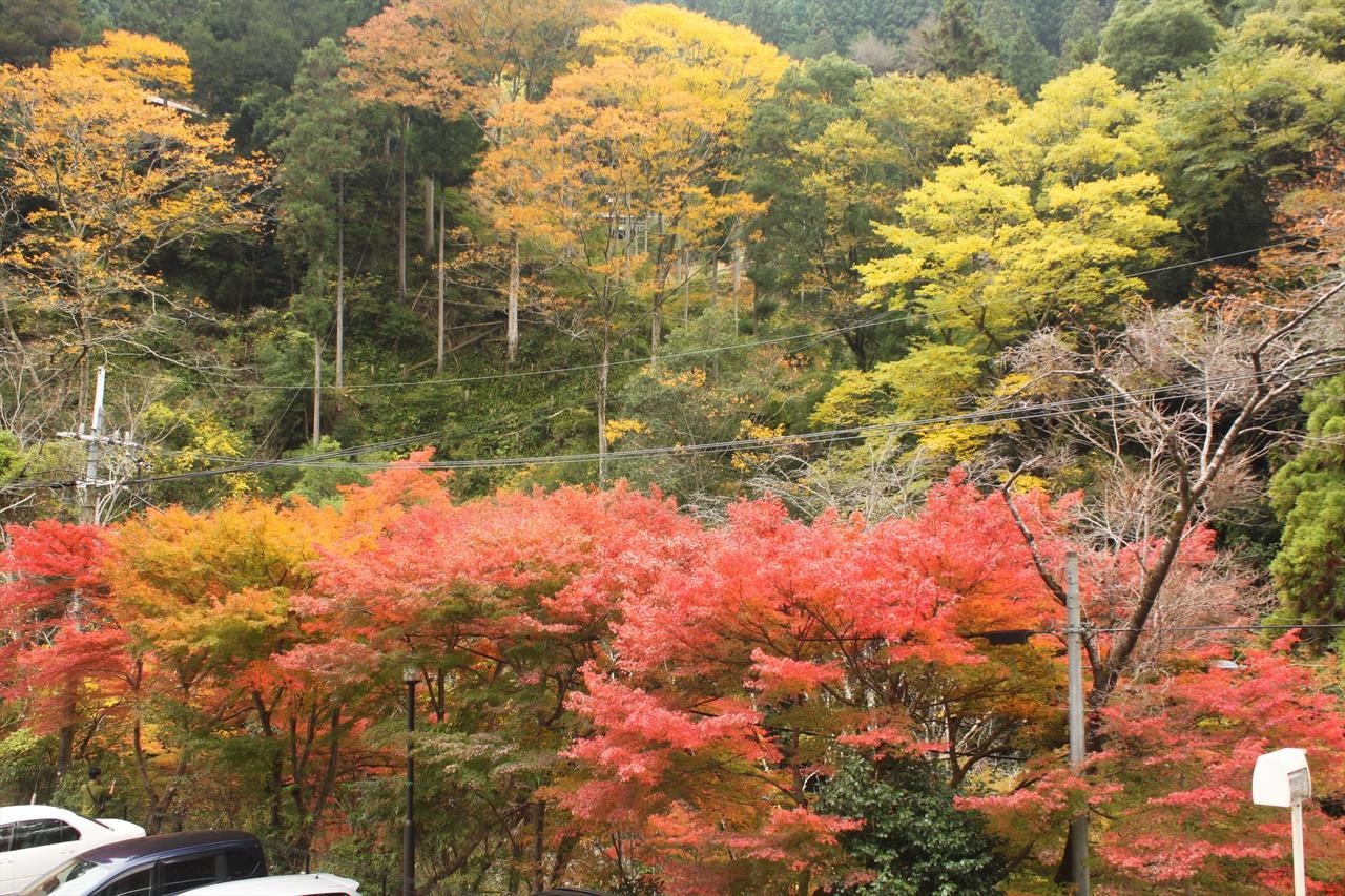 Vila Yadori Onsen Iyashinoyu Hashimoto  Exteriér fotografie